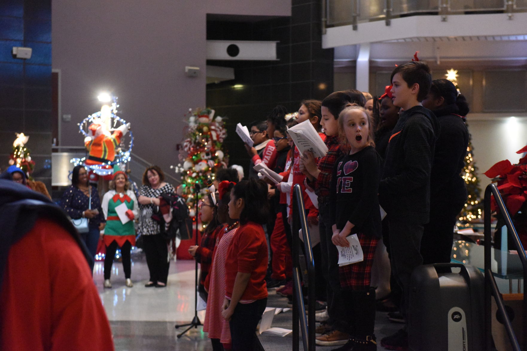 Decorating the Trees for a Cause